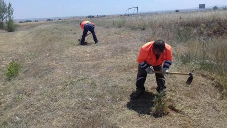 Imagen Las cuadrillas forestales de la Diputación han limpiado esta campaña 180 hectáreas de terreno